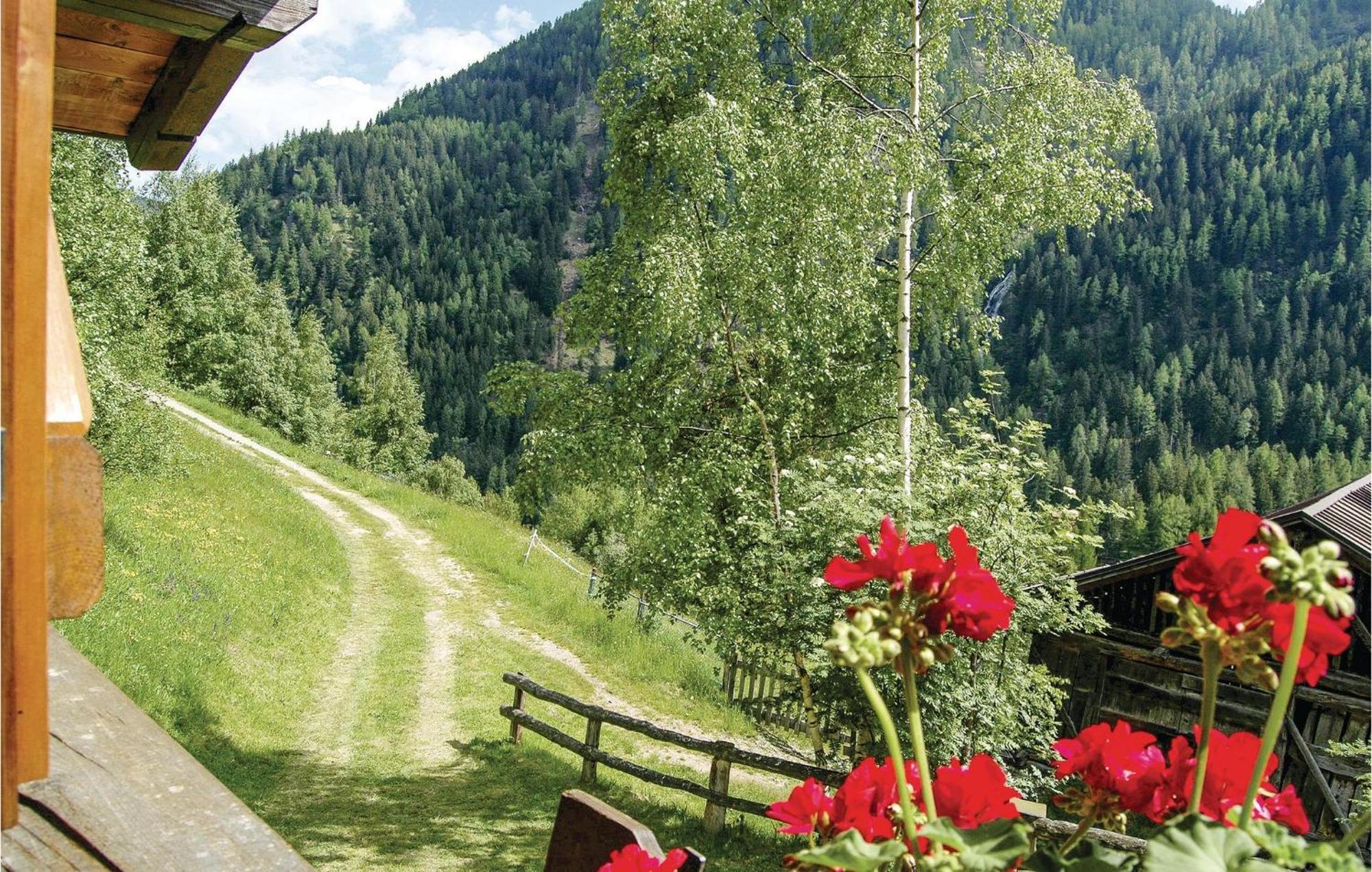 Maso Roncal Villa Peio Bagian luar foto