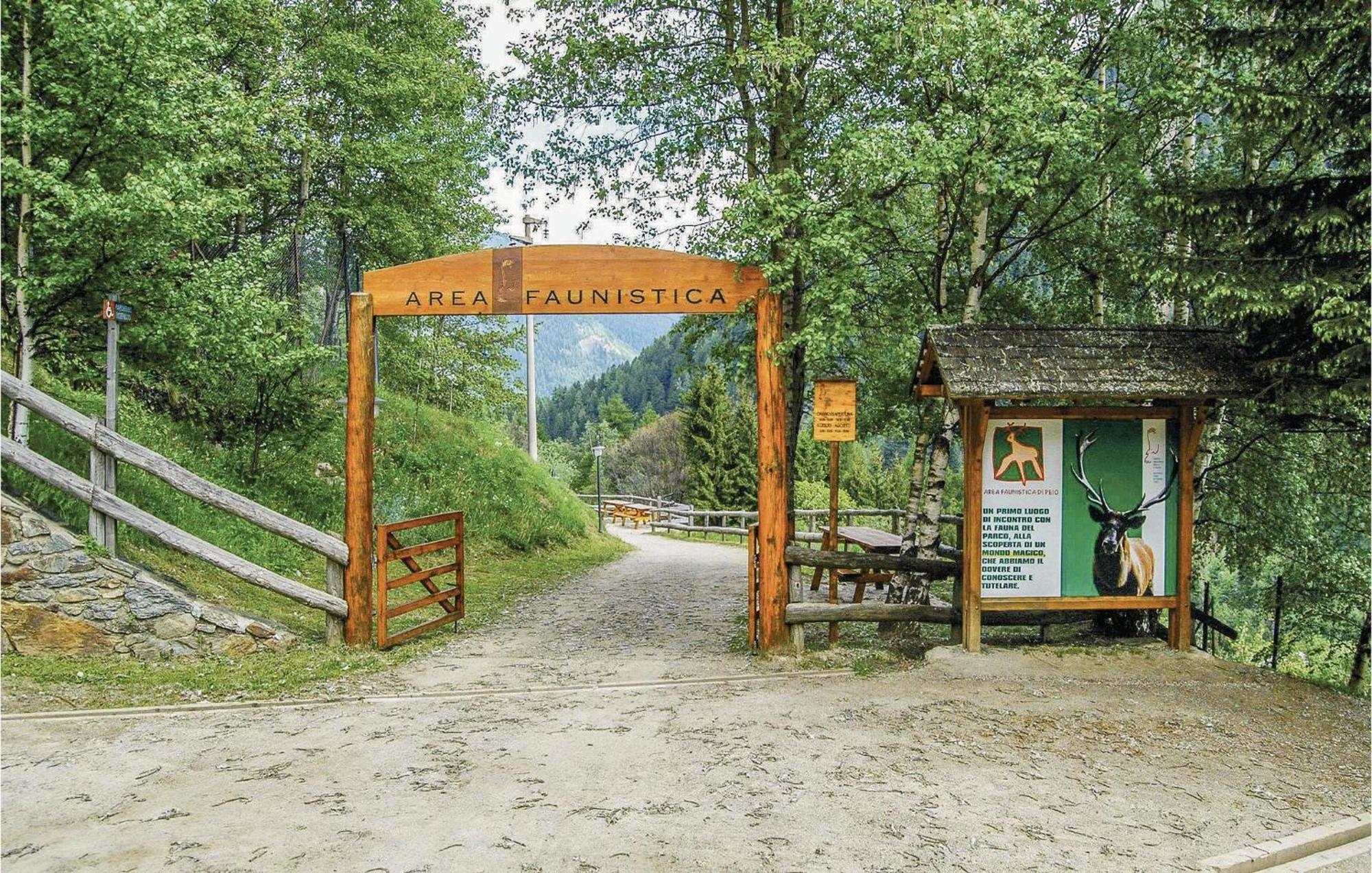 Maso Roncal Villa Peio Bagian luar foto